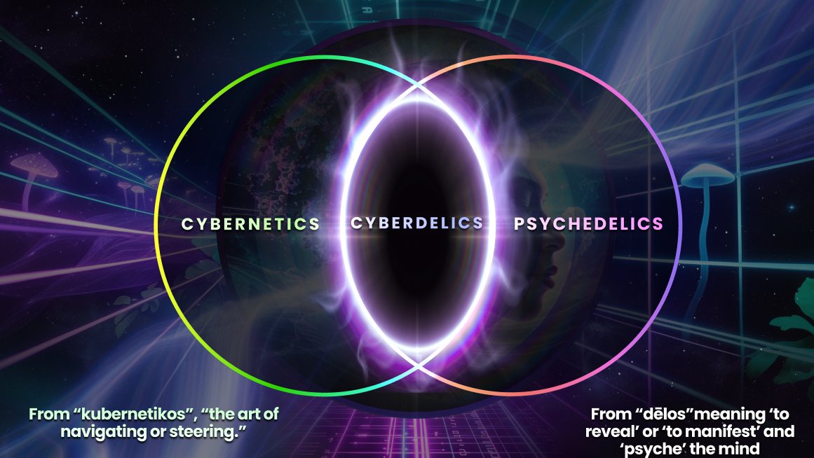 Venn diagram: cybernetics, cyberdelics, psychedelics